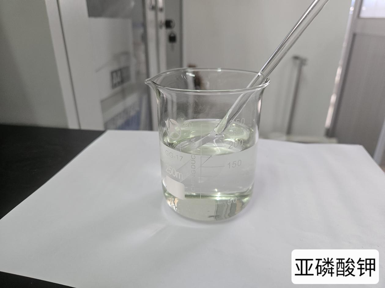亚磷酸钾（激活免疫，控梢控旺）
