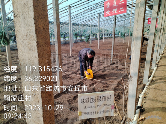 生物有机肥（有效活菌数≥2亿/g，有机质≥40%）